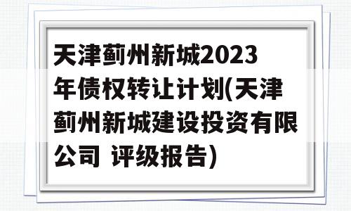 天津蓟州新城2023年债权转让计划(天津蓟州新城建设投资有限公司 评级报告)