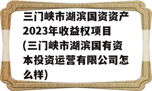 三门峡市湖滨国资资产2023年收益权项目(三门峡市湖滨国有资本投资运营有限公司怎么样)