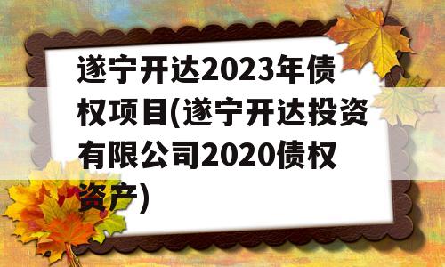 遂宁开达2023年债权项目(遂宁开达投资有限公司2020债权资产)