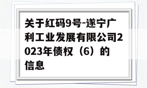 关于红码9号-遂宁广利工业发展有限公司2023年债权（6）的信息