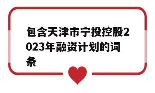 包含天津市宁投控股2023年融资计划的词条