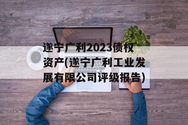 遂宁广利2023债权资产(遂宁广利工业发展有限公司评级报告)