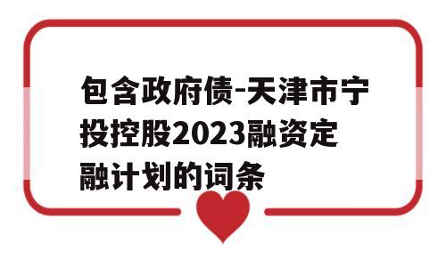 包含政府债-天津市宁投控股2023融资定融计划的词条