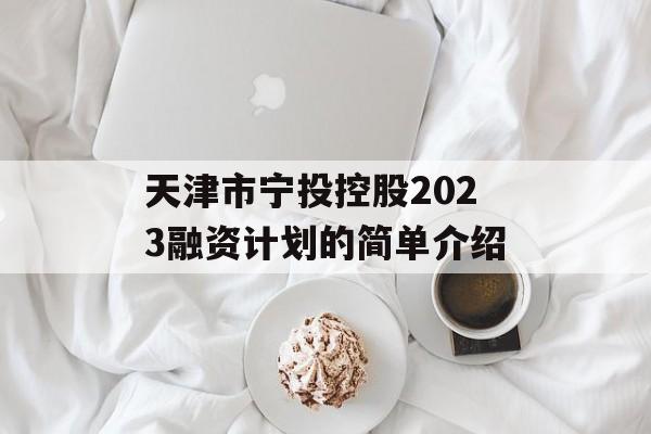 天津市宁投控股2023融资计划的简单介绍