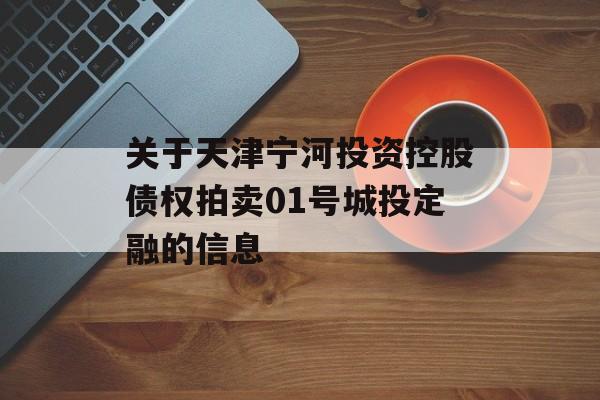 关于天津宁河投资控股债权拍卖01号城投定融的信息