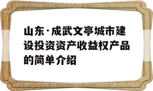 山东·成武文亭城市建设投资资产收益权产品的简单介绍