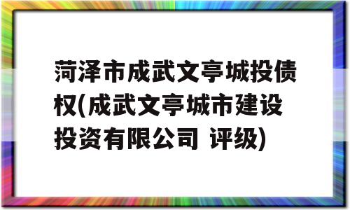 菏泽市成武文亭城投债权(成武文亭城市建设投资有限公司 评级)