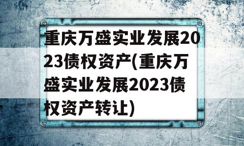 重庆万盛实业发展2023债权资产(重庆万盛实业发展2023债权资产转让)