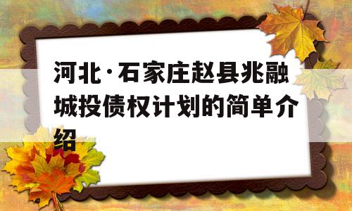 河北·石家庄赵县兆融城投债权计划的简单介绍