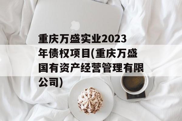 重庆万盛实业2023年债权项目(重庆万盛国有资产经营管理有限公司)