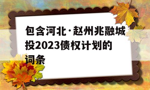 包含河北·赵州兆融城投2023债权计划的词条