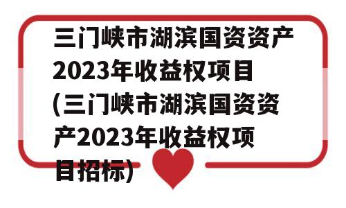 三门峡市湖滨国资资产2023年收益权项目(三门峡市湖滨国资资产2023年收益权项目招标)