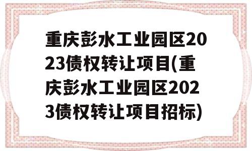 重庆彭水工业园区2023债权转让项目(重庆彭水工业园区2023债权转让项目招标)