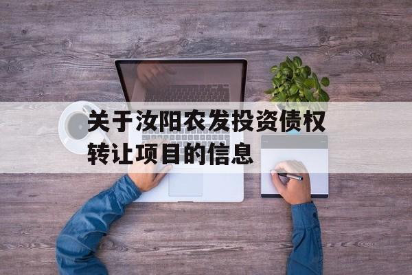 关于汝阳农发投资债权转让项目的信息