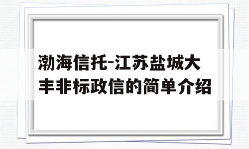 渤海信托-江苏盐城大丰非标政信的简单介绍