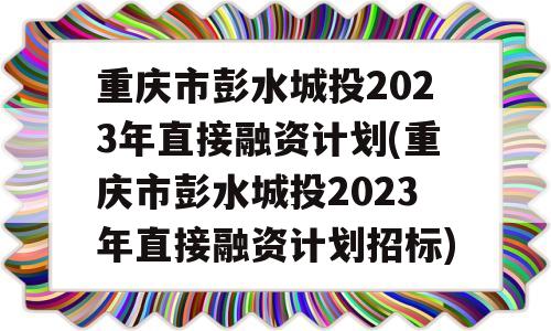 重庆市彭水城投2023年直接融资计划(重庆市彭水城投2023年直接融资计划招标)