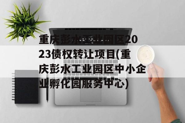 重庆彭水工业园区2023债权转让项目(重庆彭水工业园区中小企业孵化园服务中心)