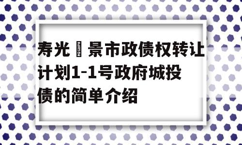 寿光昇景市政债权转让计划1-1号政府城投债的简单介绍