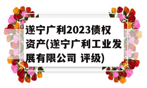 遂宁广利2023债权资产(遂宁广利工业发展有限公司 评级)