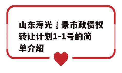 山东寿光昇景市政债权转让计划1-1号的简单介绍