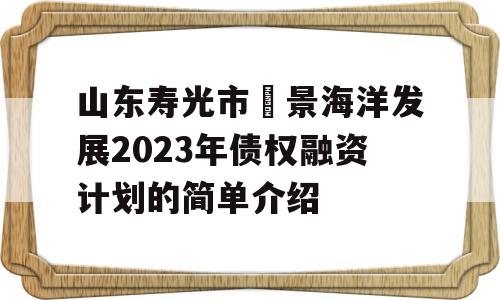 山东寿光市昇景海洋发展2023年债权融资计划的简单介绍