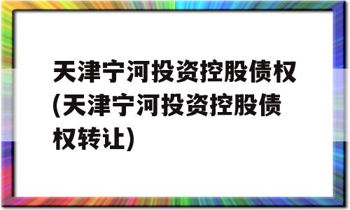 天津宁河投资控股债权(天津宁河投资控股债权转让)