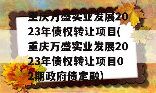 重庆万盛实业发展2023年债权转让项目(重庆万盛实业发展2023年债权转让项目02期政府债定融)