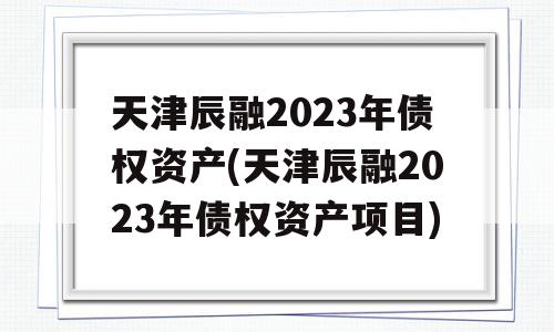 天津辰融2023年债权资产(天津辰融2023年债权资产项目)