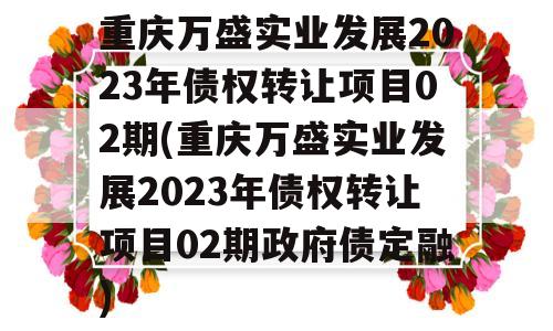 重庆万盛实业发展2023年债权转让项目02期(重庆万盛实业发展2023年债权转让项目02期政府债定融)