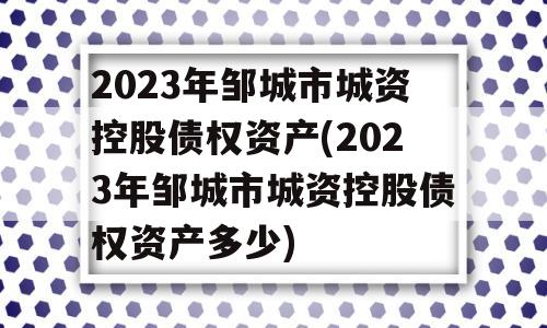 2023年邹城市城资控股债权资产(2023年邹城市城资控股债权资产多少)