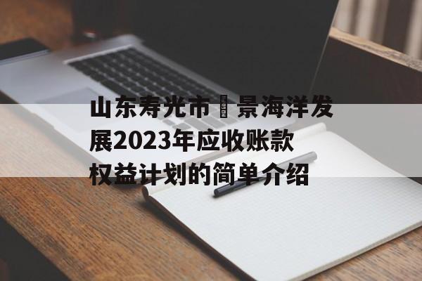 山东寿光市昇景海洋发展2023年应收账款权益计划的简单介绍