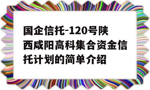 国企信托-120号陕西咸阳高科集合资金信托计划的简单介绍