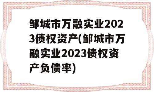 邹城市万融实业2023债权资产(邹城市万融实业2023债权资产负债率)