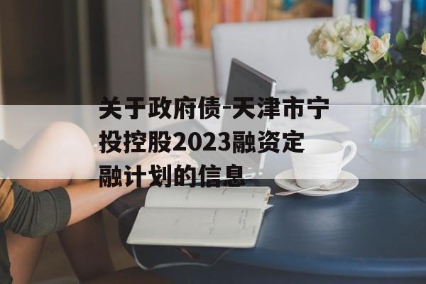 关于政府债-天津市宁投控股2023融资定融计划的信息