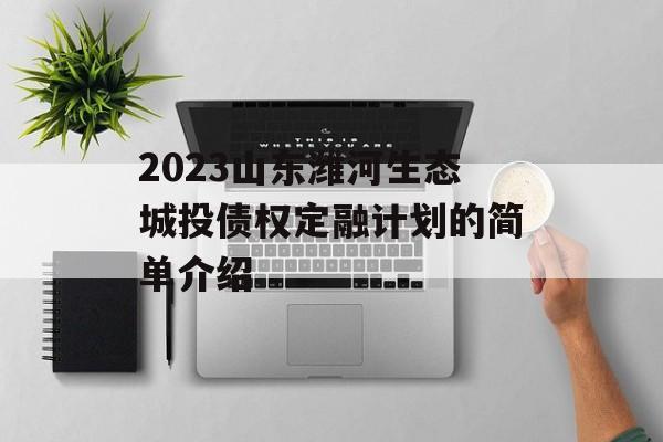 2023山东潍河生态城投债权定融计划的简单介绍