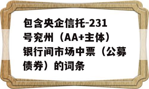 包含央企信托-231号兖州（AA+主体）银行间市场中票（公募债券）的词条