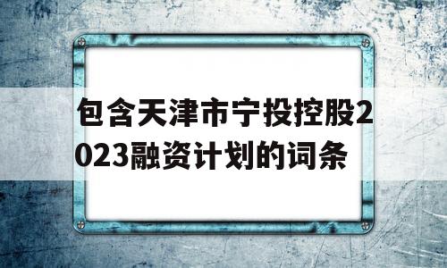 包含天津市宁投控股2023融资计划的词条