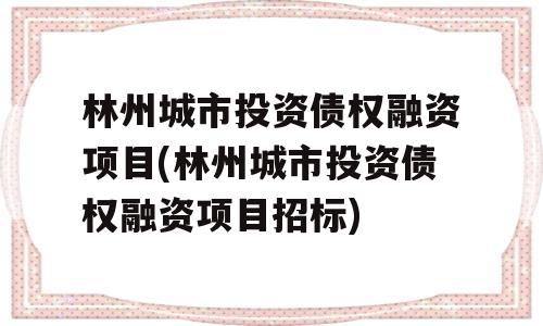 林州城市投资债权融资项目(林州城市投资债权融资项目招标)