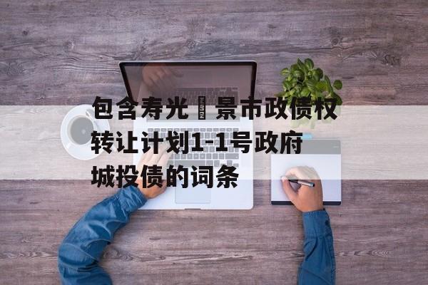 包含寿光昇景市政债权转让计划1-1号政府城投债的词条