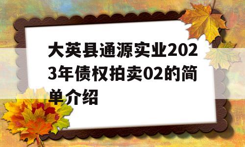 大英县通源实业2023年债权拍卖02的简单介绍