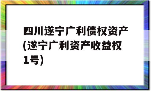 四川遂宁广利债权资产(遂宁广利资产收益权1号)