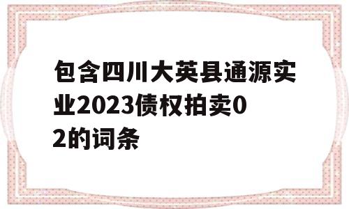 包含四川大英县通源实业2023债权拍卖02的词条