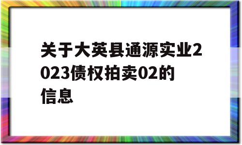 关于大英县通源实业2023债权拍卖02的信息