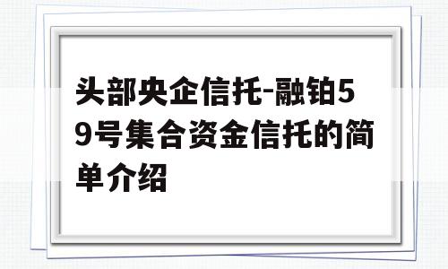 头部央企信托-融铂59号集合资金信托的简单介绍