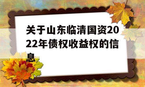 关于山东临清国资2022年债权收益权的信息