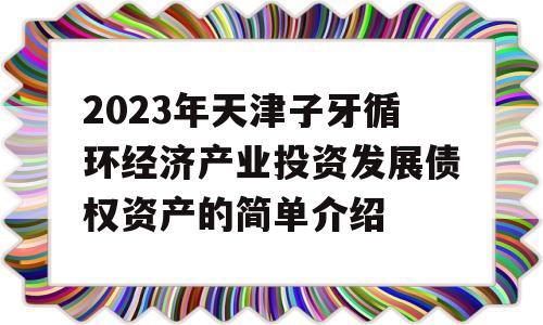 2023年天津子牙循环经济产业投资发展债权资产的简单介绍