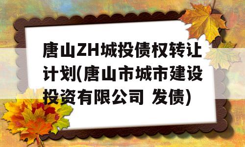 唐山ZH城投债权转让计划(唐山市城市建设投资有限公司 发债)