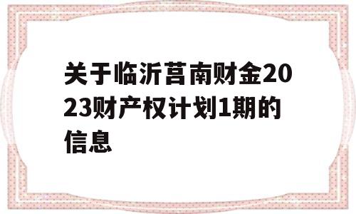 关于临沂莒南财金2023财产权计划1期的信息