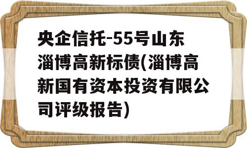 央企信托-55号山东淄博高新标债(淄博高新国有资本投资有限公司评级报告)