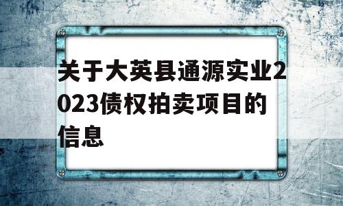 关于大英县通源实业2023债权拍卖项目的信息